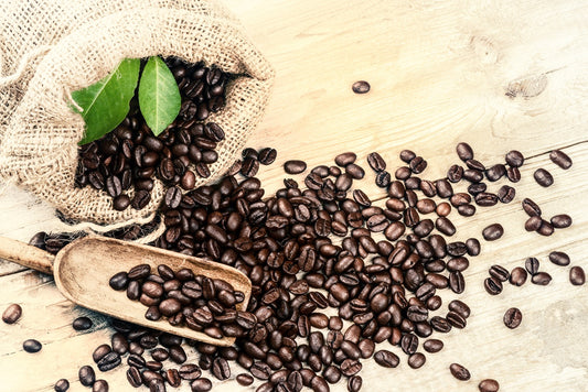 arabica coffee