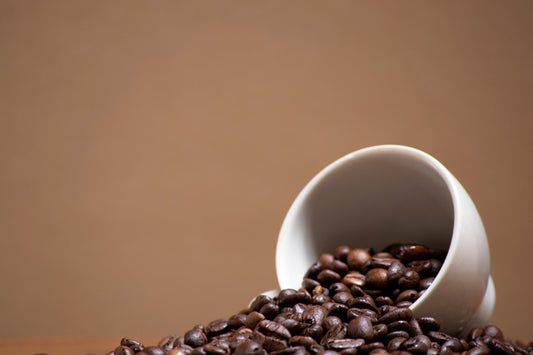 arabica coffee beans