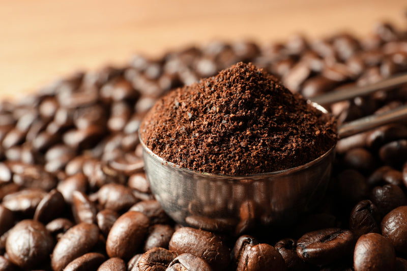 Mocha Coffee Beans: Unveiling the Rich Aroma & Taste