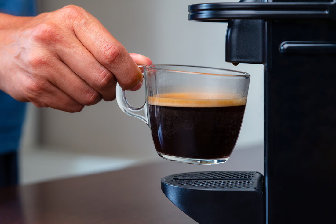drip coffee maker