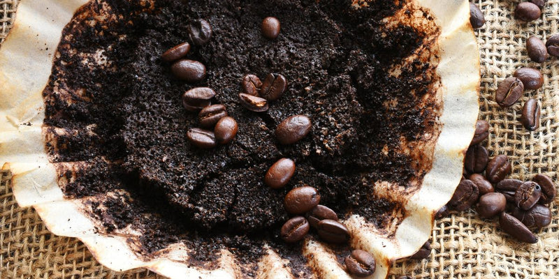coffee filter with coffee beans