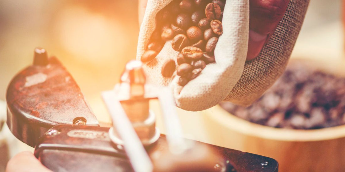 grinder with coffee beans