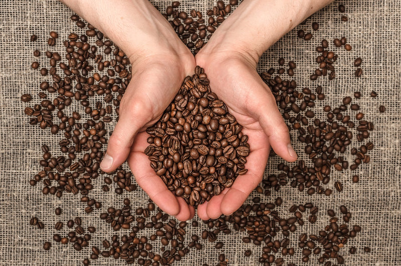 Can You Eat Coffee Beans? Unveiling the Truth!