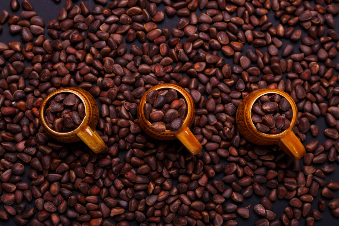 robusta