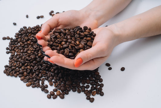 robusta beans