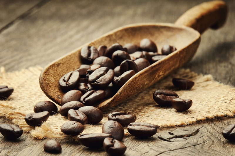 Where is Arabica Coffee Grown: Unveil Its Origins and Cultivation