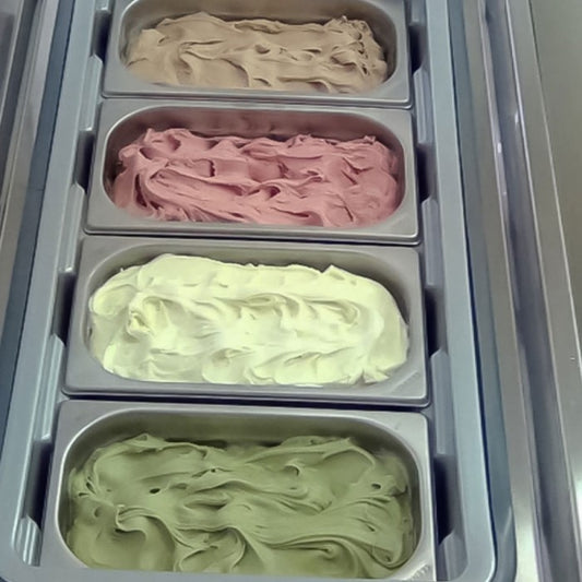 NEMOX GELATO 4 MAGIC PRO 100 V120 - Majesty Coffee